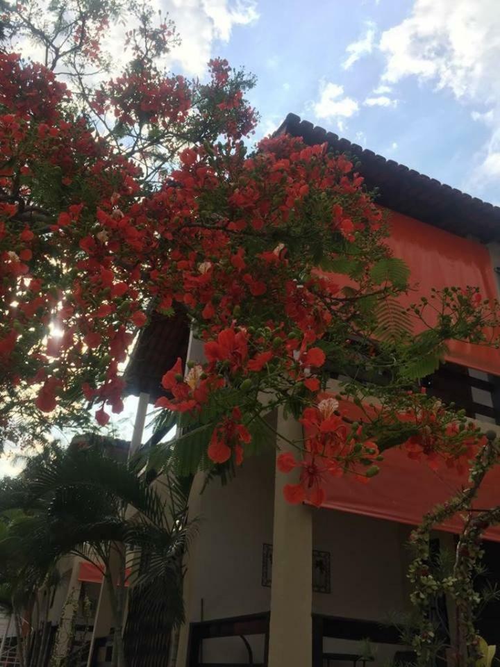 Pousada Das Seriemas Pirenópolis Exteriör bild